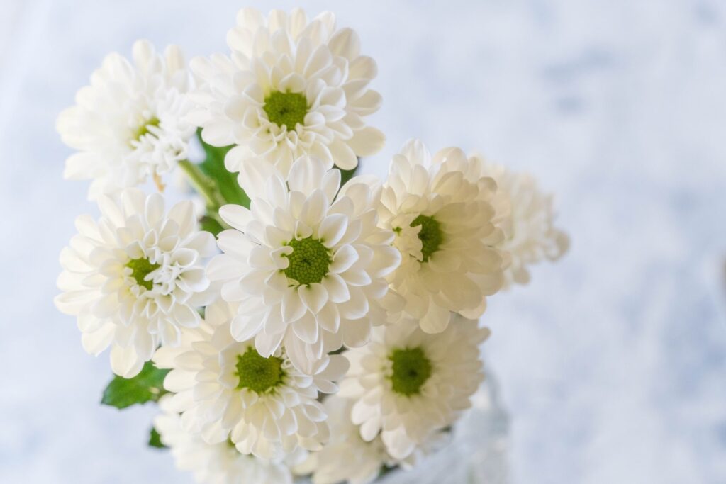 仏花