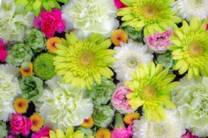 花のアイキャッチ